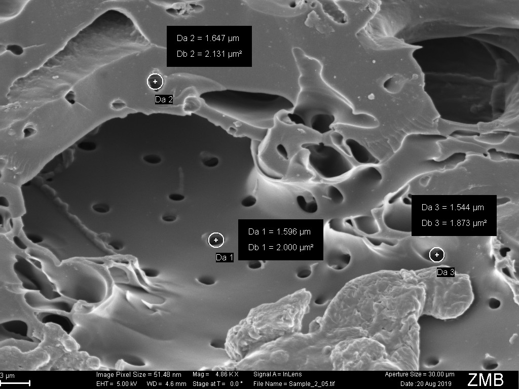 Scanning electron micrograph of wood charcoal after 60 minutes of liquid-nitrogen treatment, with measured pore diameters of 1.54 to 1.65 micrometres